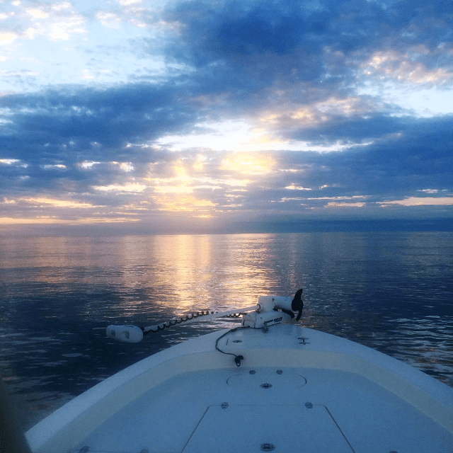 hilton head fishing charters