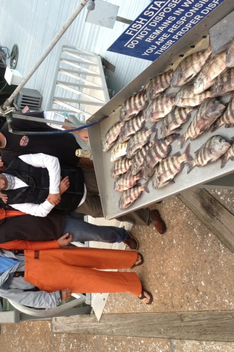 fishing hilton head sc