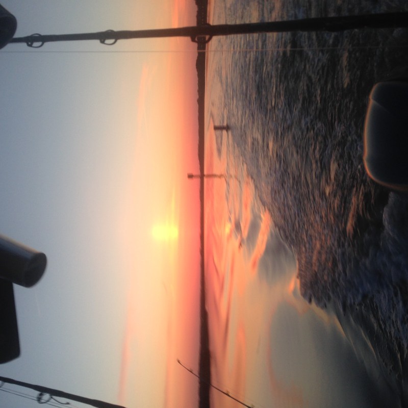 bayrunner fishing charters hilton head island sc