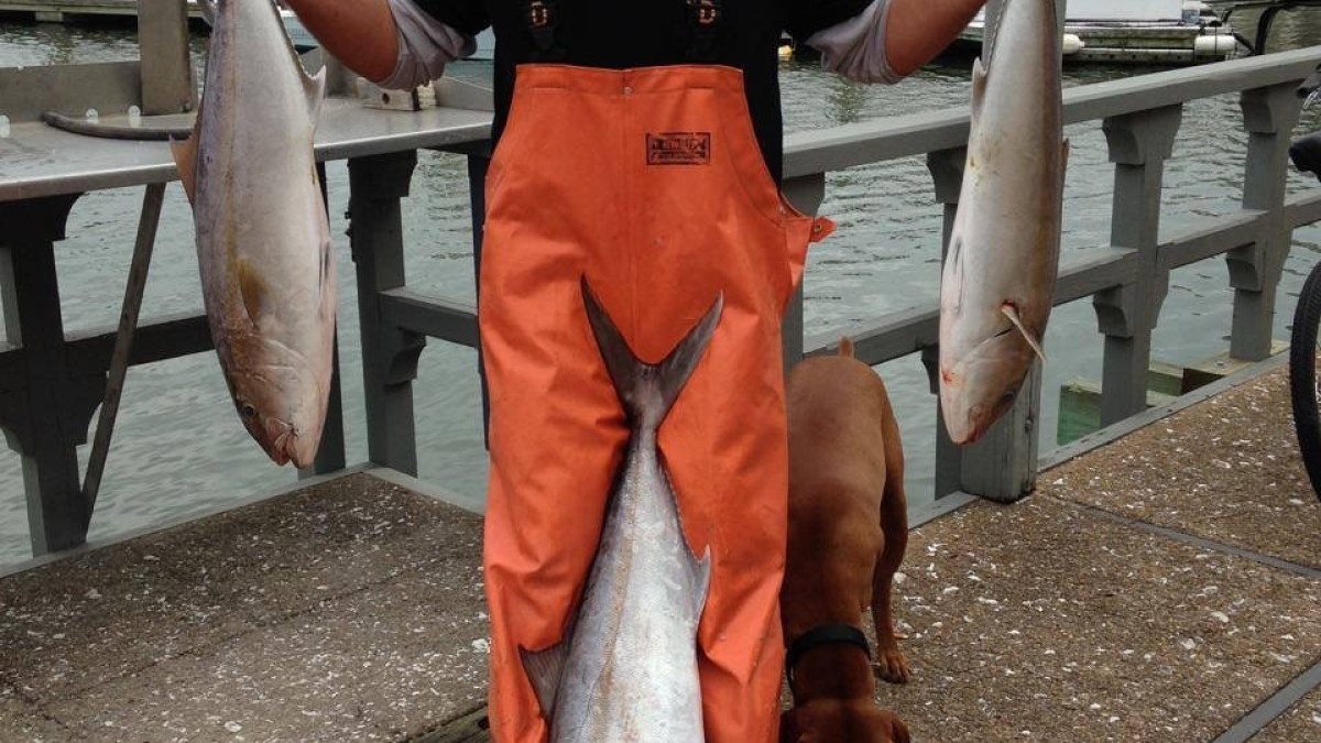 bayrunner fishing charters hilton head island sc