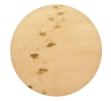 bayrunner fishing charters hilton head island sc