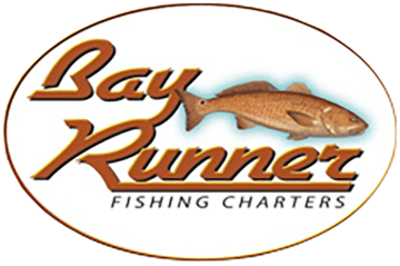 Bayrunner Charters