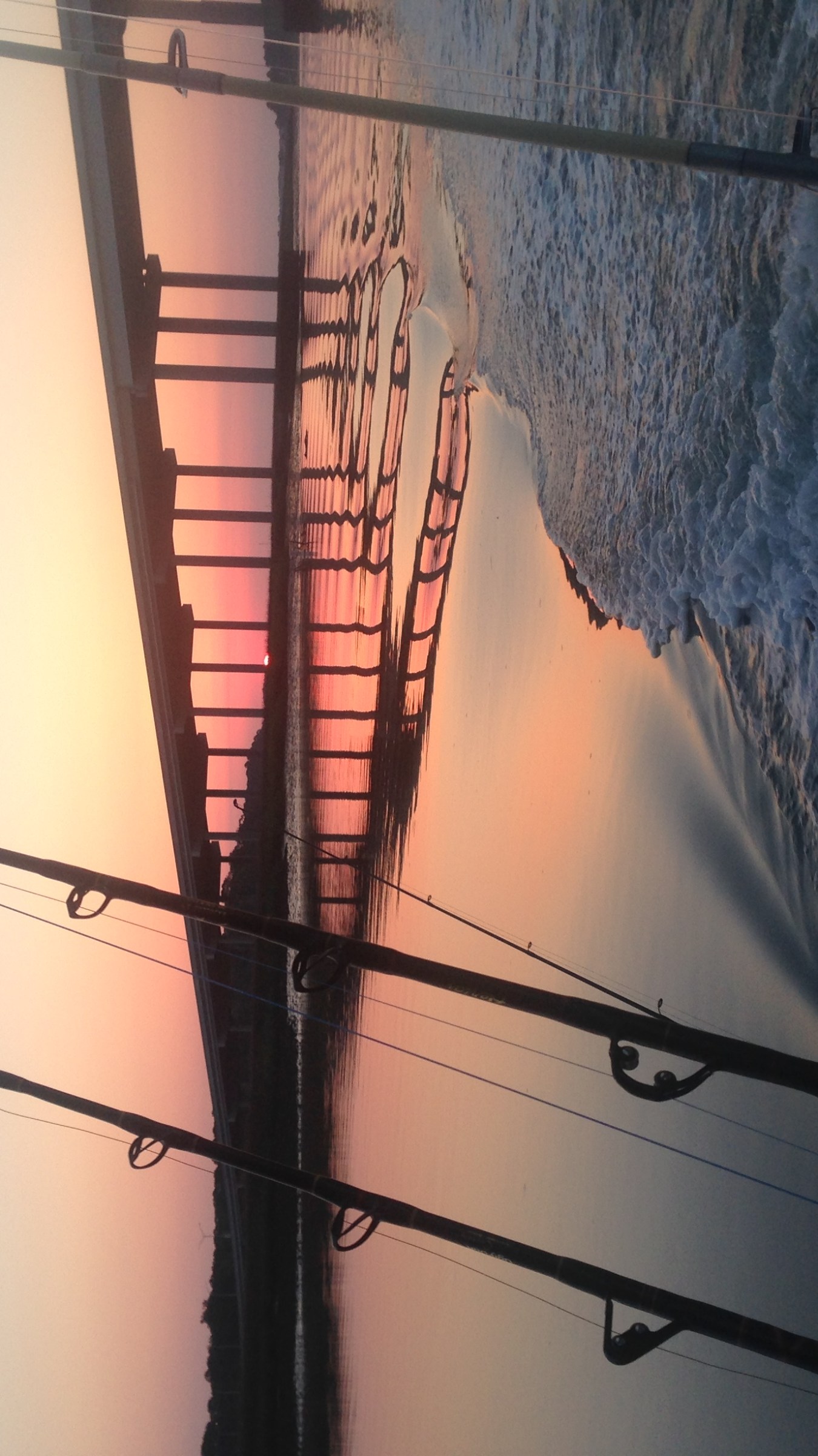 bayrunner fishing charters hilton head island sc