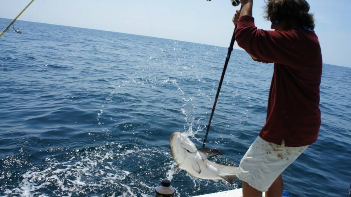 hilton head fishing charters